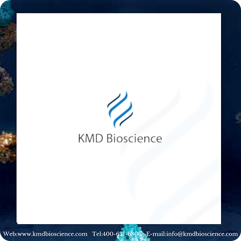 Anti-Human VEGFA Recombinant Antibody(Aflibercept)