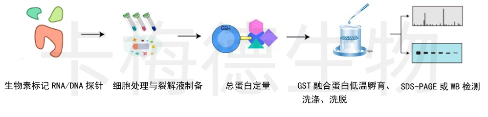 50415516.jpg