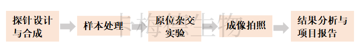 10.png