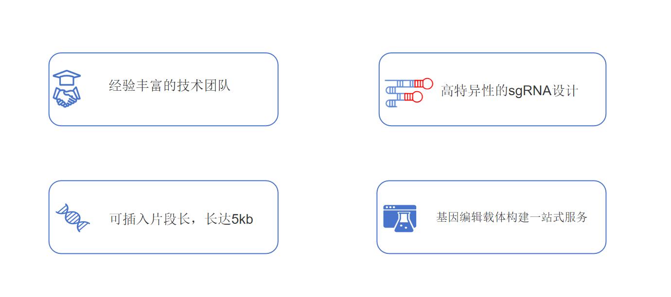 植物基因敲入服务优势-卡梅德科技.jpg