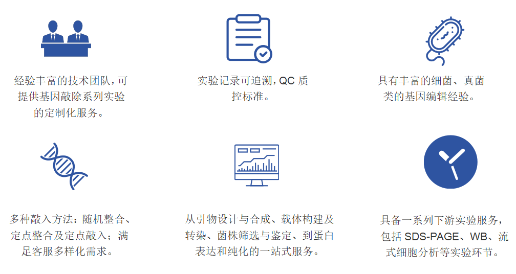 微生物基因敲入服务-卡梅德科技.png