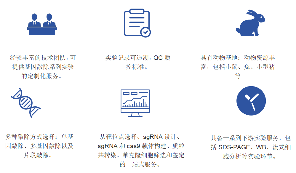 动物基因敲除服务优势-卡梅德科技.png