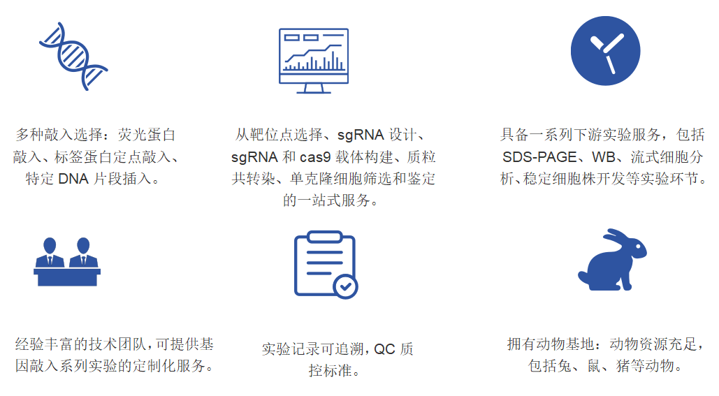 动物基因敲入服务优势-卡梅德科技.png