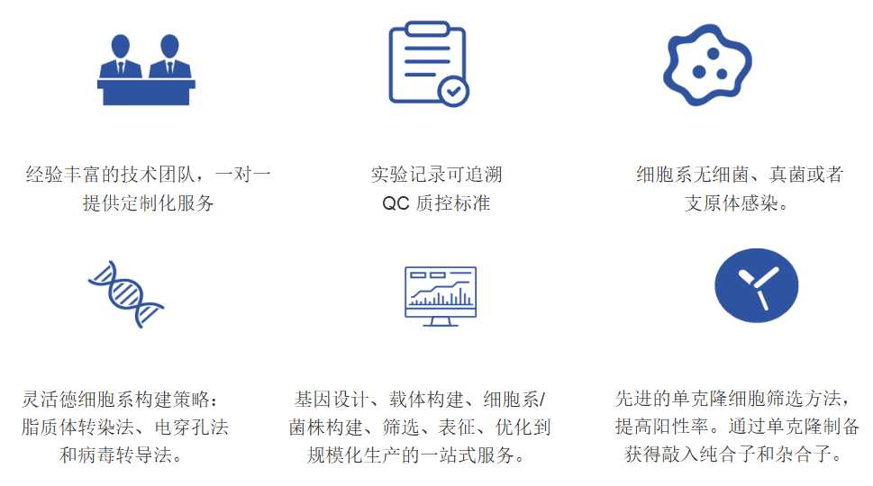 基因敲入细胞系服务优势-卡梅德科技.png