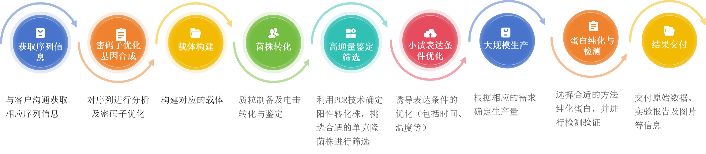 酵母表达系统服务流程-卡梅德科技.png