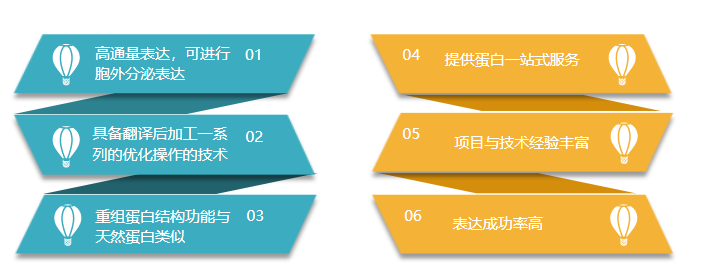 真核哺乳动物表达系统特色-卡梅德科技.png