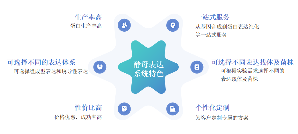 酵母表达系统特色-卡梅德科技.png