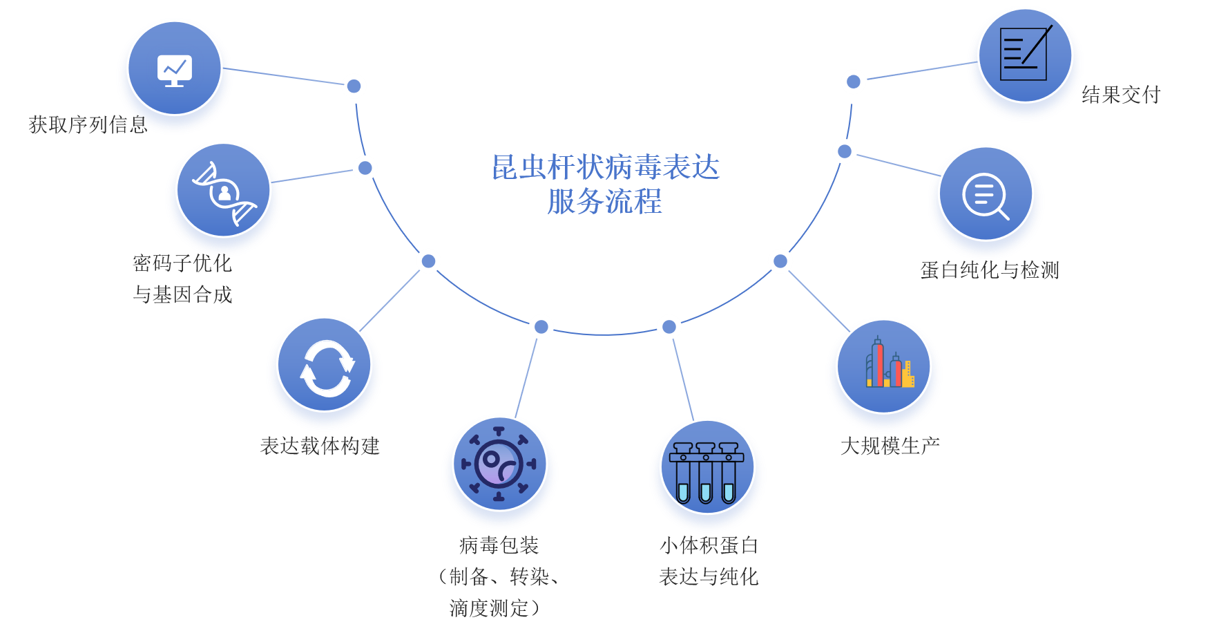 昆虫杆状病毒表达服务流程-卡梅德科技.png