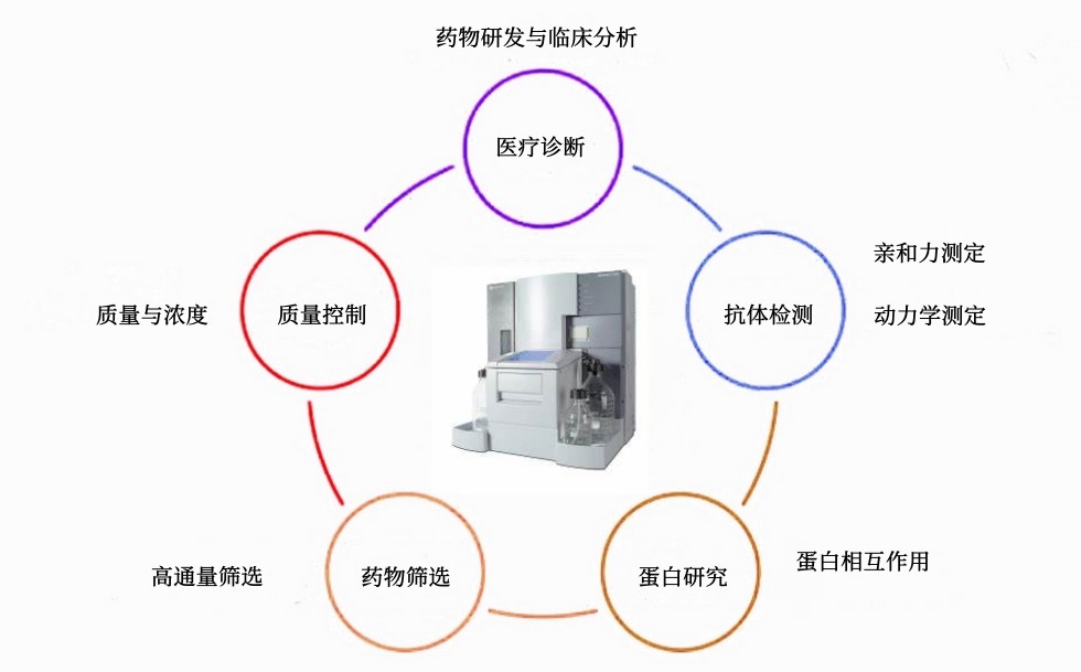 亲和力测定服务-卡梅德科技.jpg
