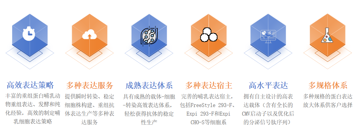 重组蛋白哺乳动物表达服务优势-卡梅德科技.png