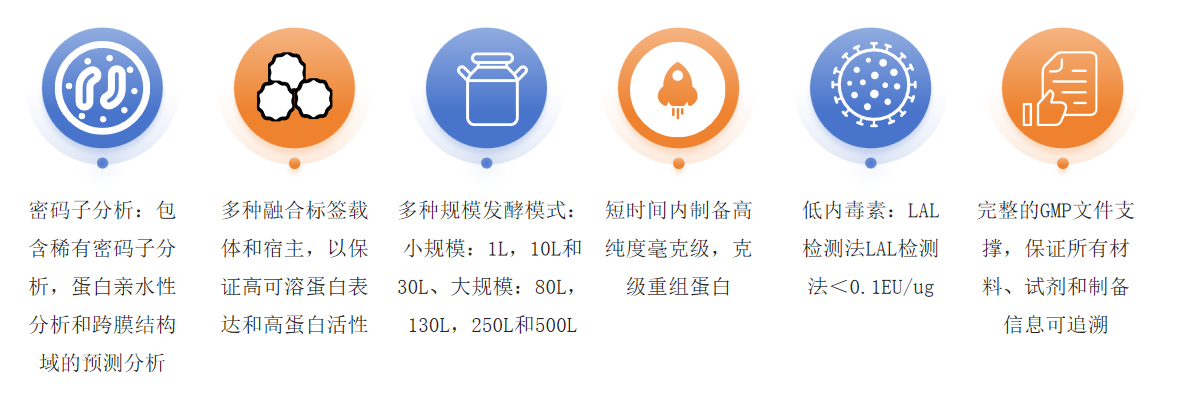 重组蛋白原核表达服务优势-卡梅德科技.png
