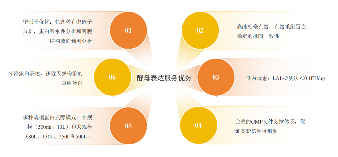 重组蛋白酵母表达服务优势-卡梅德科技.png