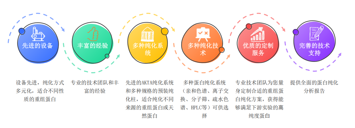 重组蛋白纯化服务优势-卡梅德科技.png