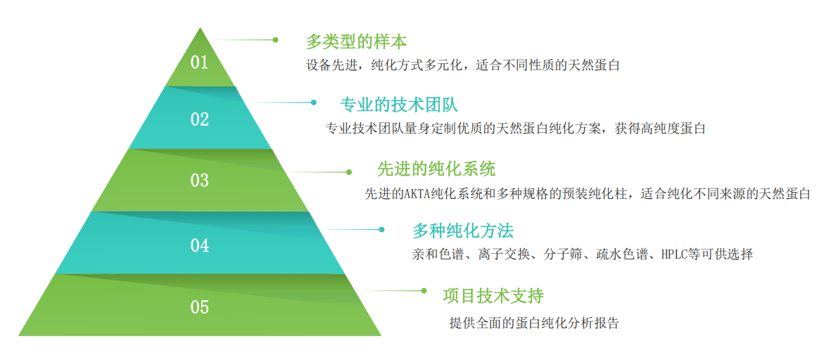 天然蛋白纯化服务优势-卡梅德科技.png