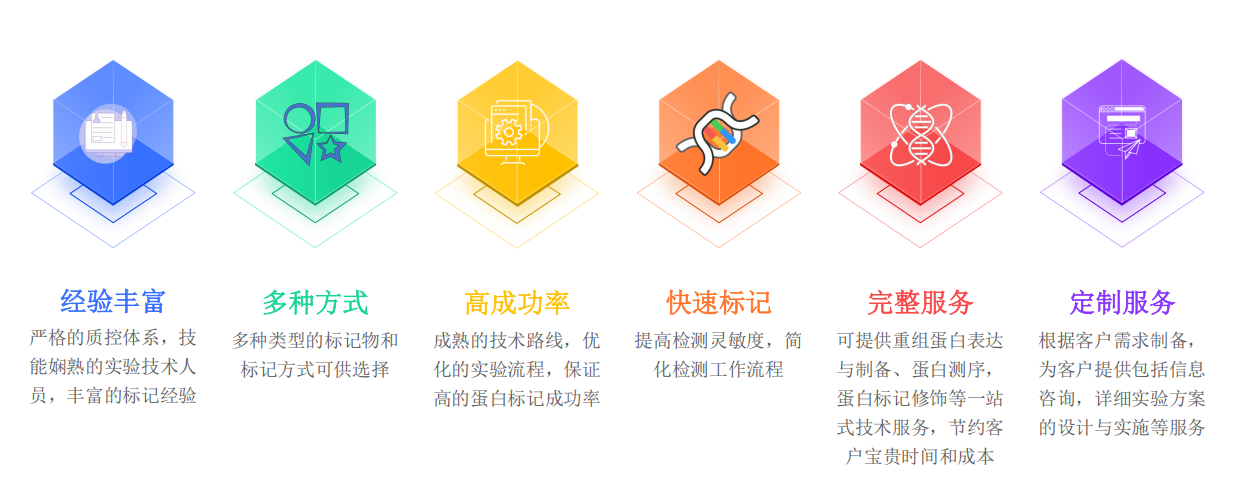 蛋白质标记服务优势-卡梅德科技.png