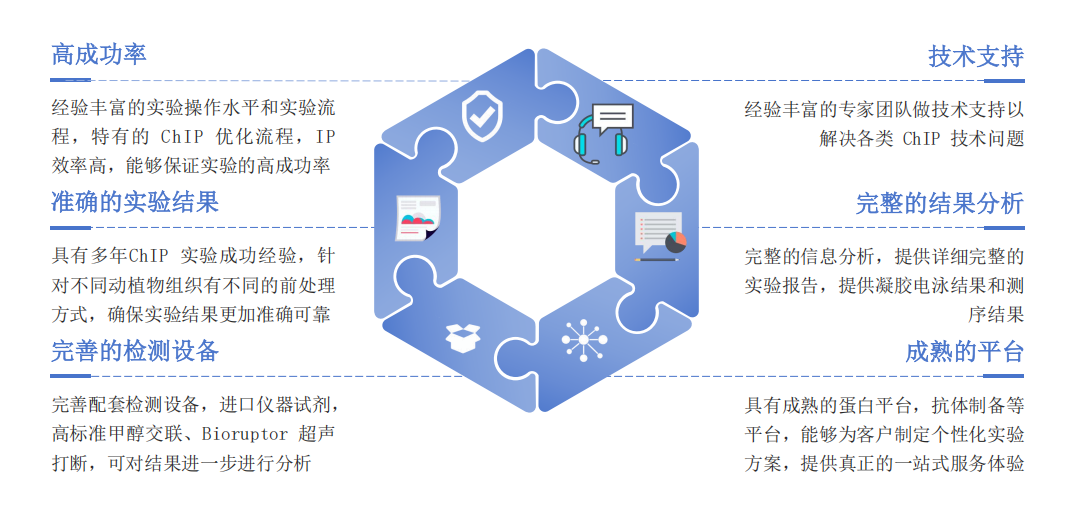 ChIP染色质免疫共沉淀服务优势-卡梅德科技.png