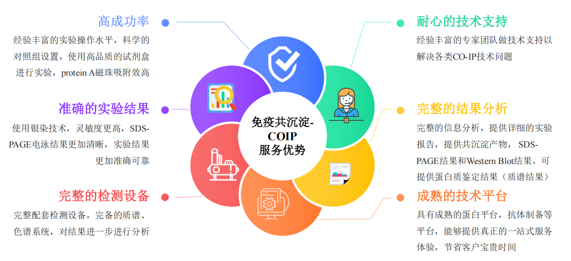 免疫共沉淀-Co-IP 实验优势-卡梅德科技.png