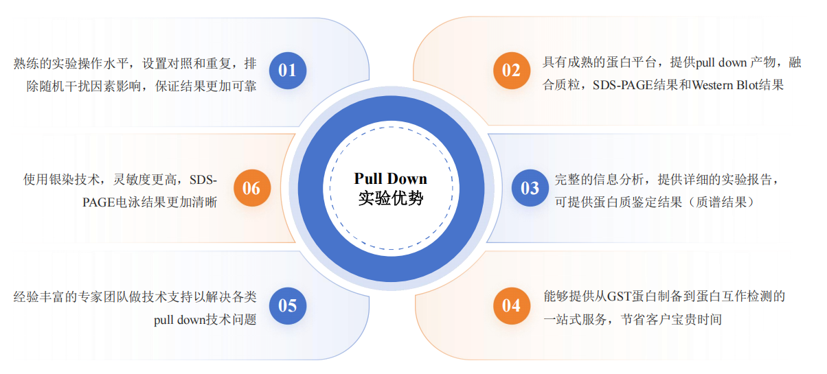 Pull Down实验服务优势-卡梅德科技.png