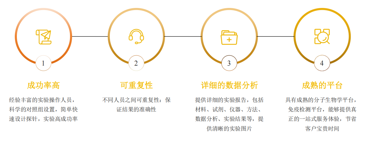 斑点杂交服务-卡梅德科技.png