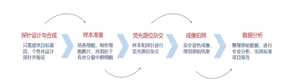 xibaodankelongyuanxingjianding+kameideshengwu2.png