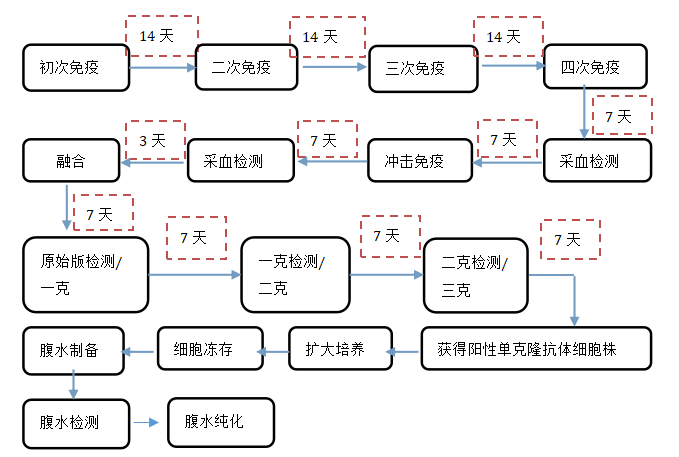 shudankelongkangtizhibei+kameideshengwu2.png