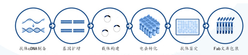 Fabkangtishijuntizhanshiliucheng+kameideshengwu2.jpg