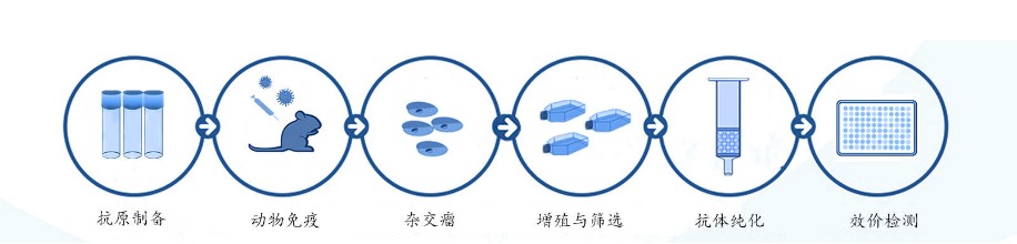 bingduzhonghekangtiyuIVDzhenduankangtidechabie+kameideshengwu3.jpg