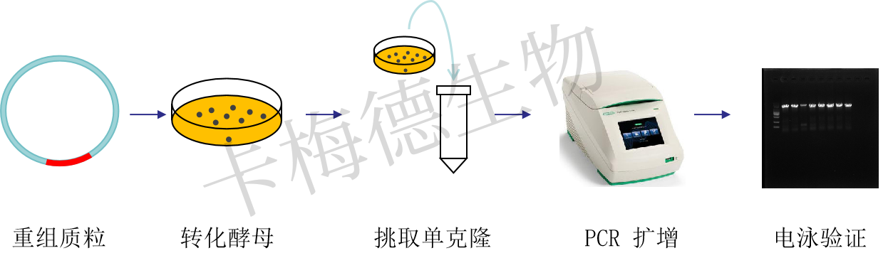 1(1).png