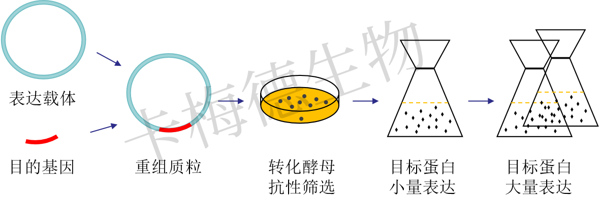 1(2).png