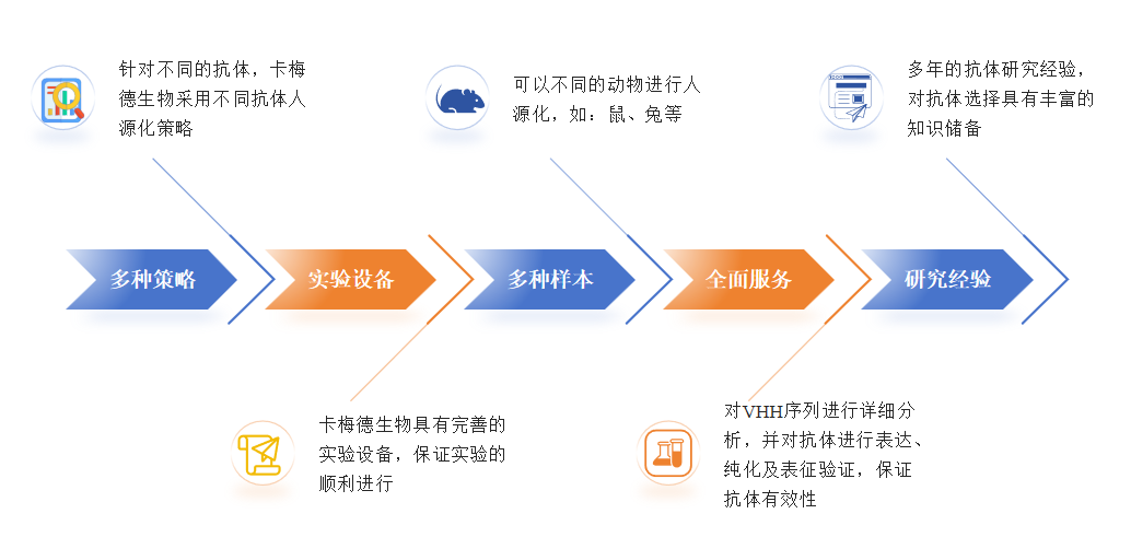 VHH抗体人源化服务优势-卡梅德科技.png