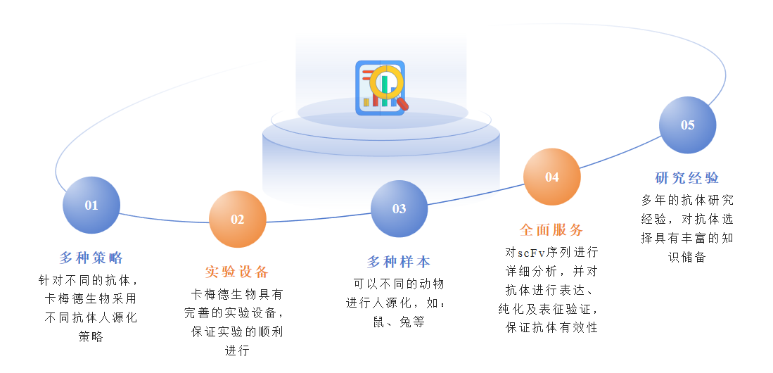 scFv抗体人源化服务优势-卡梅德科技.png