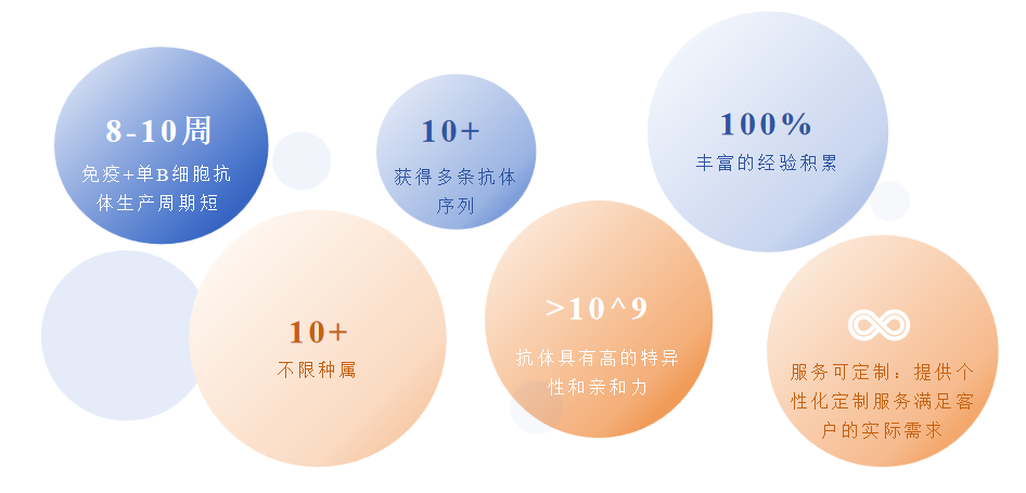 羊驼单B细胞单克隆抗体制备服务优势-卡梅德科技.png