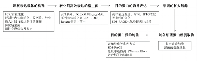 zhongzudanbaisizhongbiaodaxitongfenxi+kameide1.png