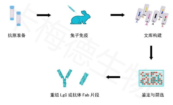tudanBxibaodankangshengchan-kameideshengwu1.jpg