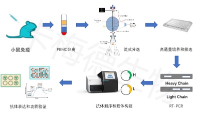 shudanBxibaojishu-kameideshengwu2.jpg