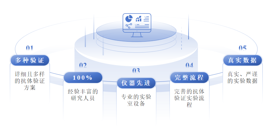 VHH抗体表征及功能性验证服务优势-卡梅德科技.png