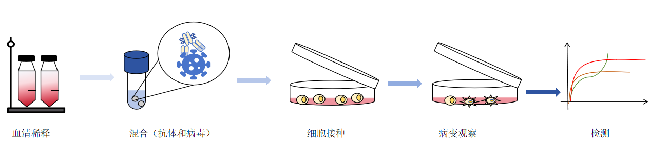 中和抗体的检测方法-卡梅德科技.png