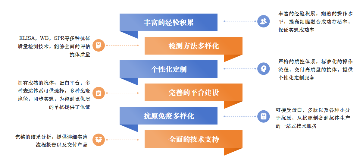 服务优势-卡梅德科技.png