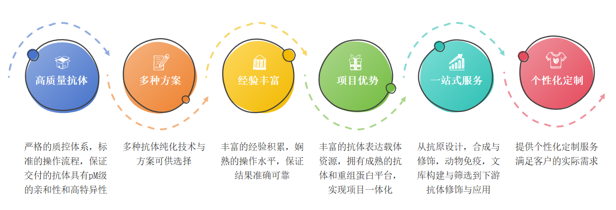 小鼠单克隆抗体制备服务优势-卡梅德科技.png