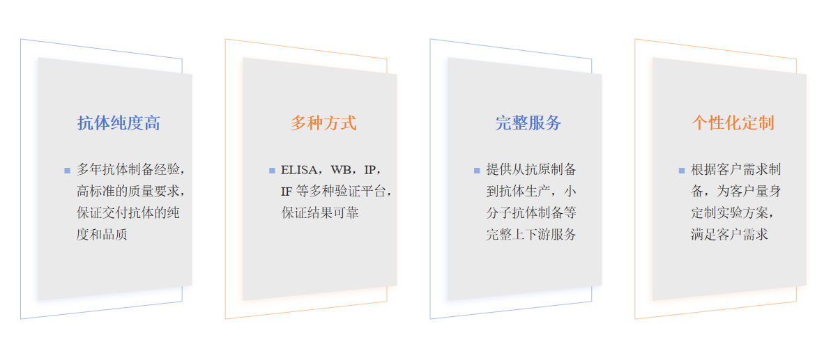 单克隆抗体制备服务优势-卡梅德科技.png