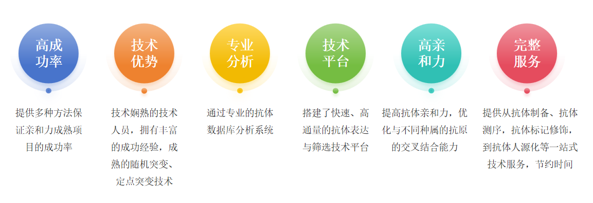 抗体亲和力成熟服务优势-卡梅德科技.png
