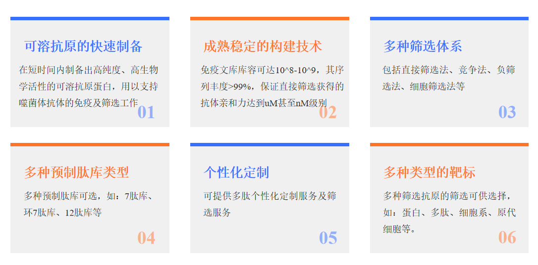 环七肽文库的构建与筛选服务优势-卡梅德科技.png