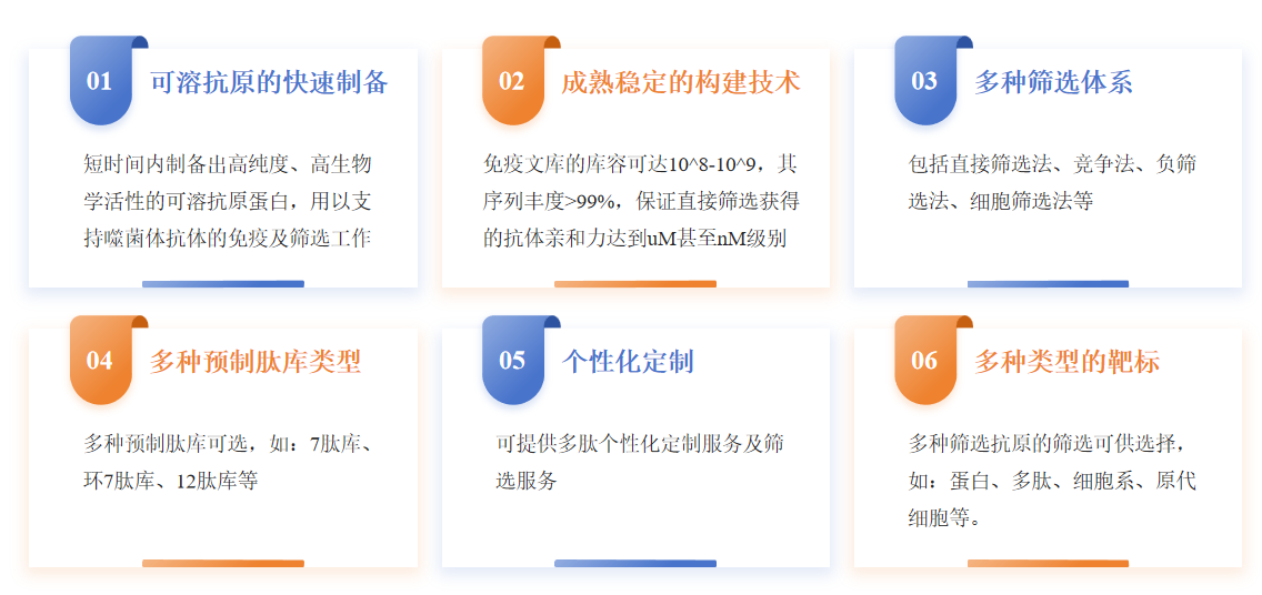 12肽文库的构建与筛选服务优势-卡梅德科技.png