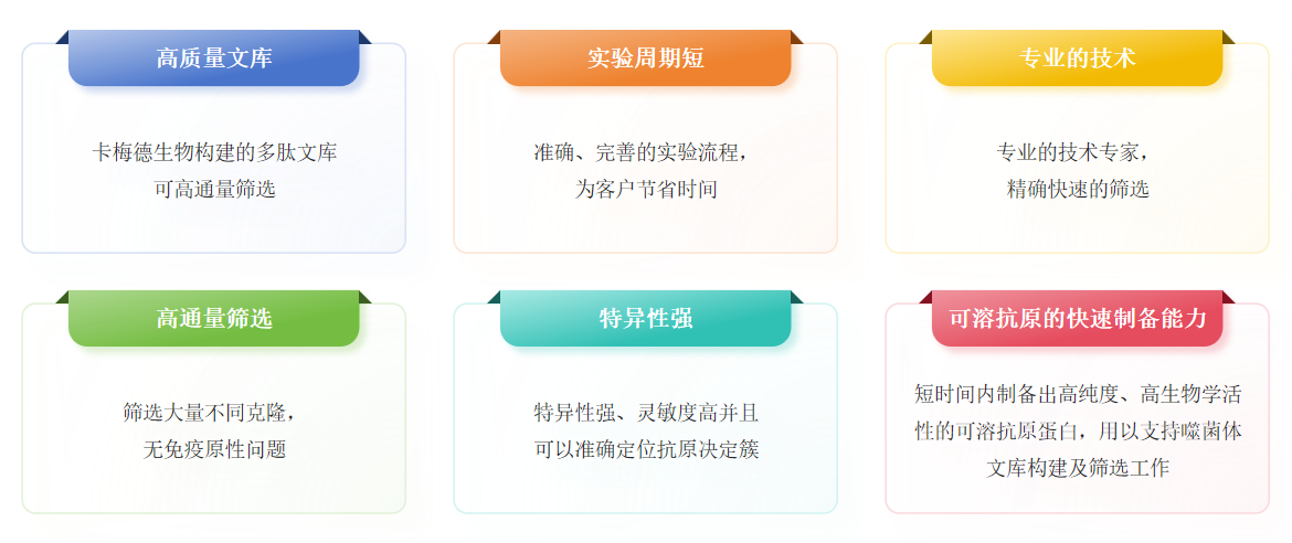 噬菌体展示多肽文库筛选服务优势-卡梅德科技.png