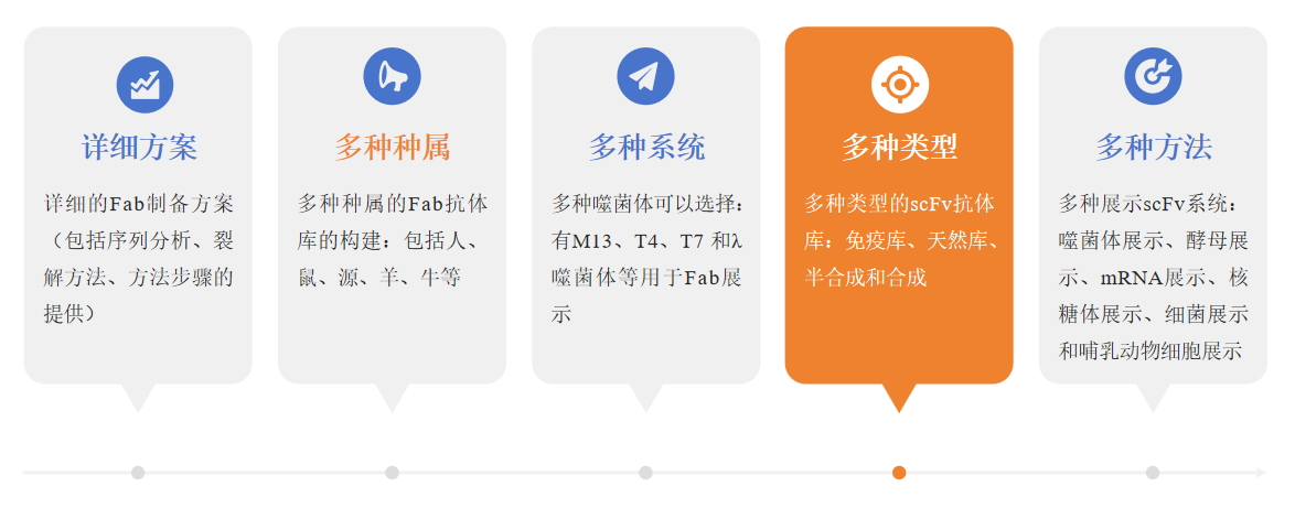 Fab抗体文库构建服务优势-卡梅德科技.png
