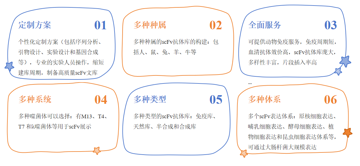 scFv抗体文库构建服务优势-卡梅德科技.png