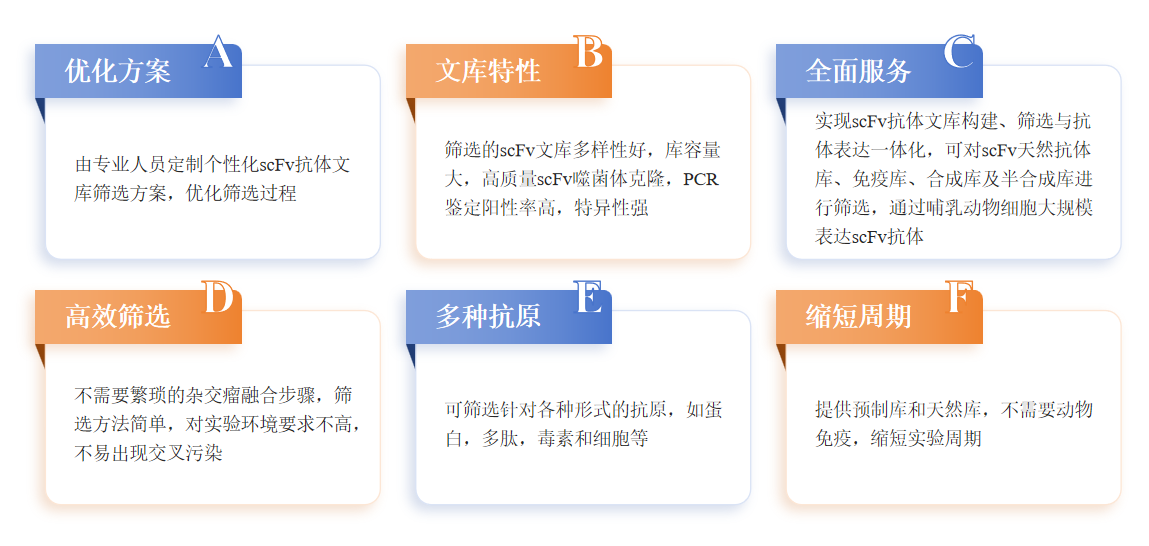 scFv抗体文库筛选服务优势-卡梅德科技.png