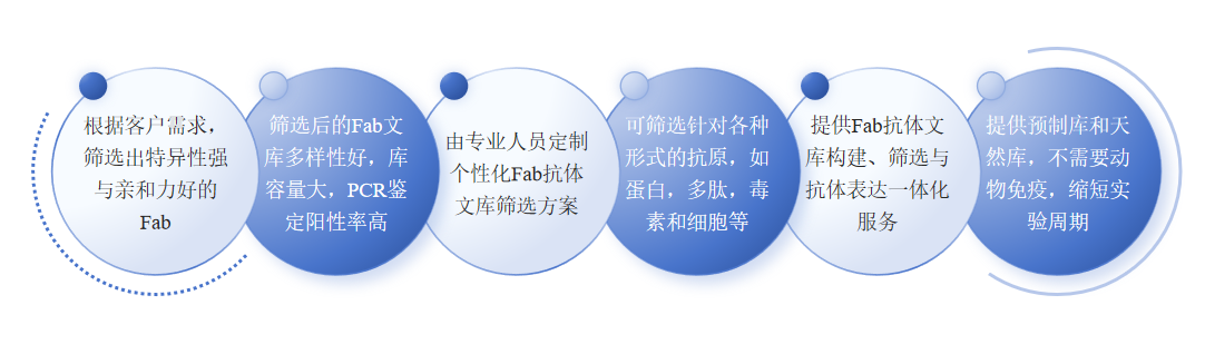 Fab抗体文库筛选服务优势-卡梅德科技.png