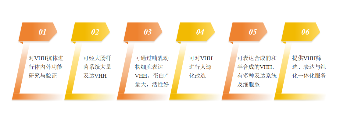 VHH抗体表达服务优势-卡梅德科技.png