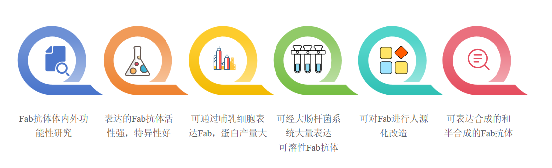 Fab抗体表达服务优势-卡梅德科技.png